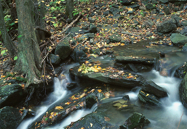 Fall Stream