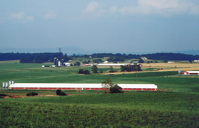 Valley Poultry Farm