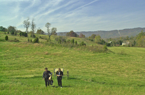 Description: Description: Description: Description: Description: Description: Description: Description: Description: Description: Description: N:\Shenandoah2000\Archive Web Files\My Webs\RonaldElliott\Catalog\T821.jpg